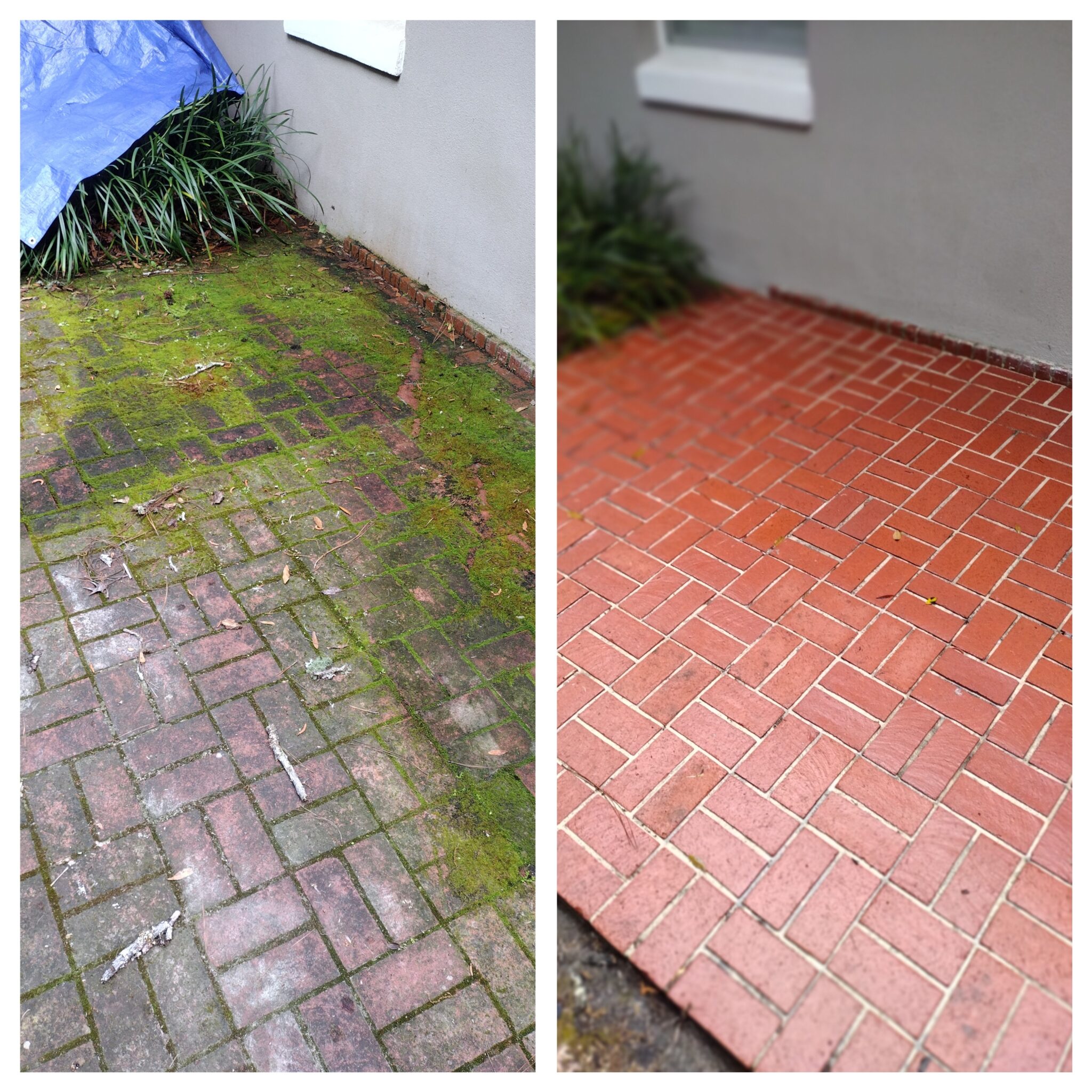 Brick walkway before and after cleaning