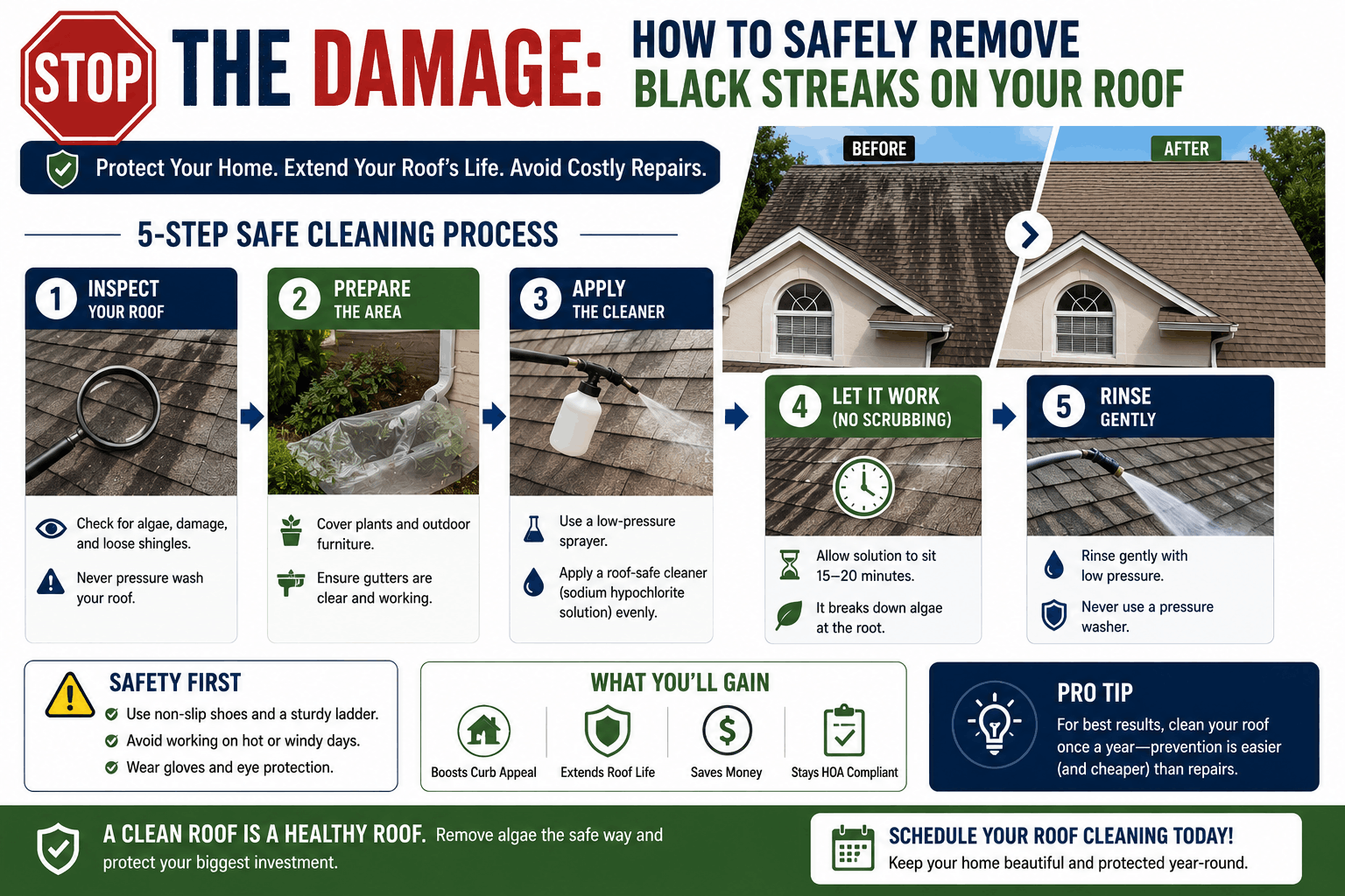 An informative infographic titled 'Stop the Damage: How to Safely Remove Black Streaks on Your Roof' breaking down a 5-step soft wash cleaning process, optimized for roof stain removal services in Tampa, FL.
