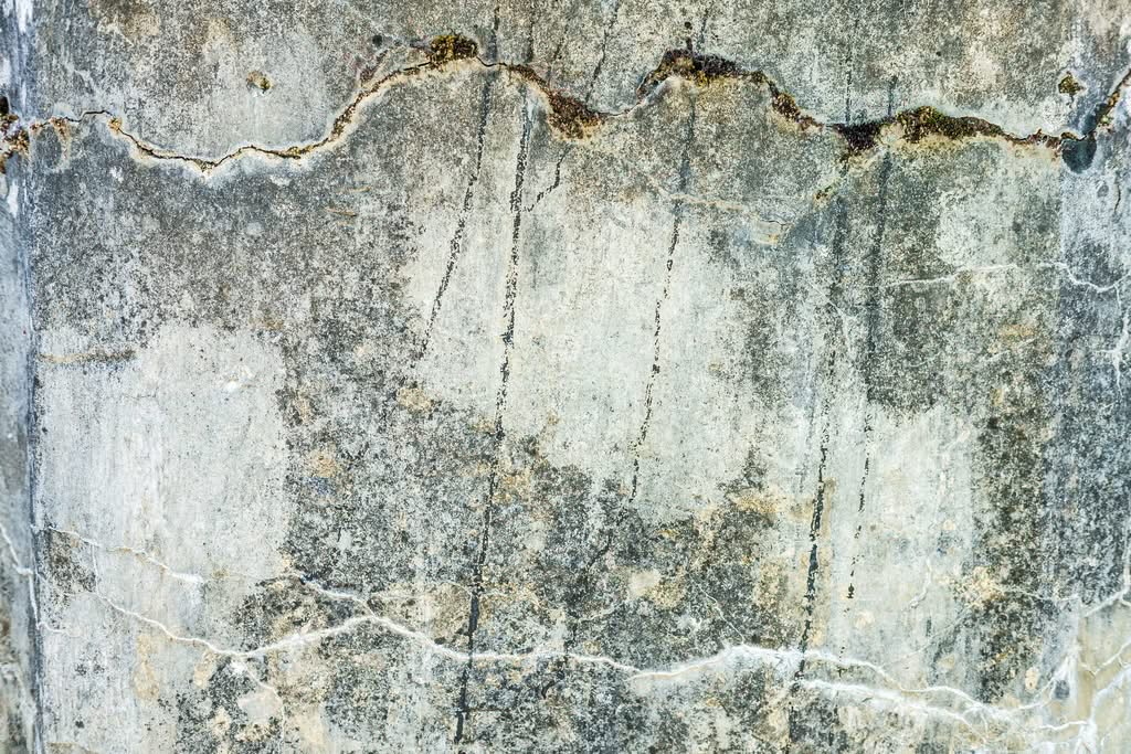 A close-up view of a weathered, cracked gray concrete wall showing signs of aging, moisture staining, and small moss growth, requiring historic concrete wall repair in Charleston, SC.