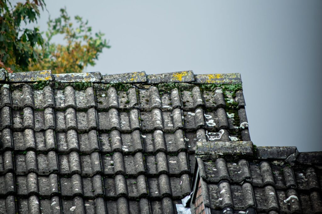Trusted Moss Removal Company in Dunnellon, FL Homeowners Choose (2026 Guide) 2 before and after comparison of moss removal on a Dunnellon FL roof