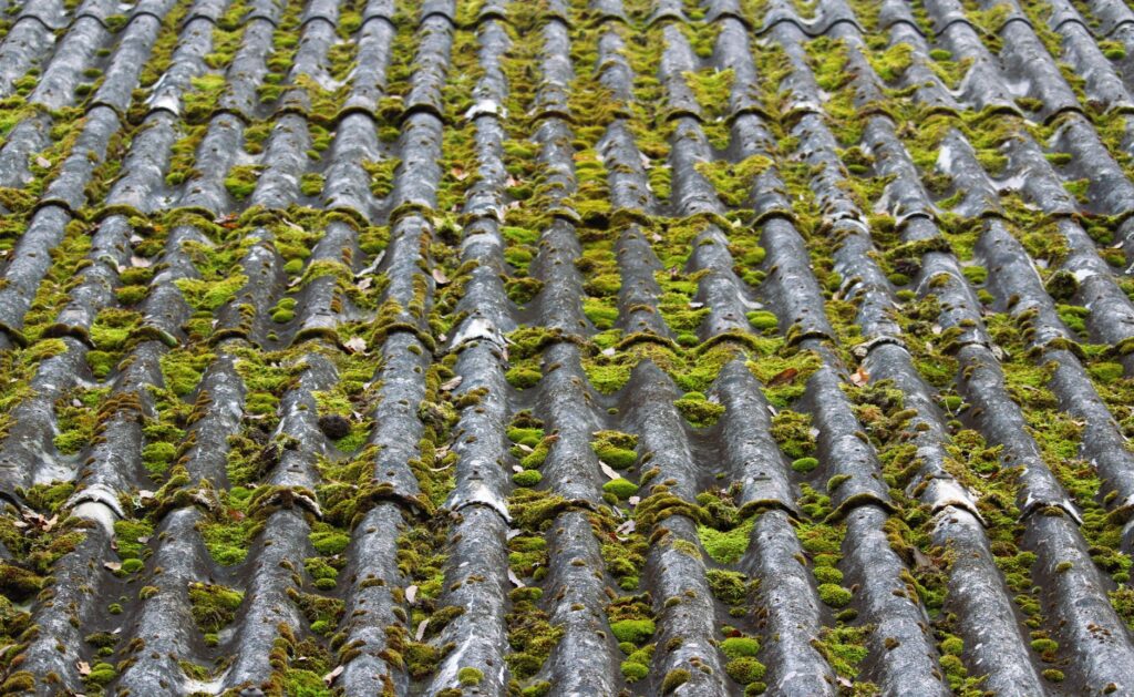 The Ocala Roof Cleaning Guide: Safe Algae Removal for 2026 3 before and after algae-free roof results on a Marion County home