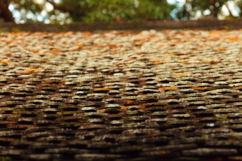 Trusted Moss Removal Company in Dunnellon, FL Homeowners Choose (2026 Guide) 1 moss removal company in Dunnellon, FL treating a shaded shingle roof.