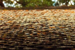 moss removal company in Dunnellon, FL treating a shaded shingle roof.