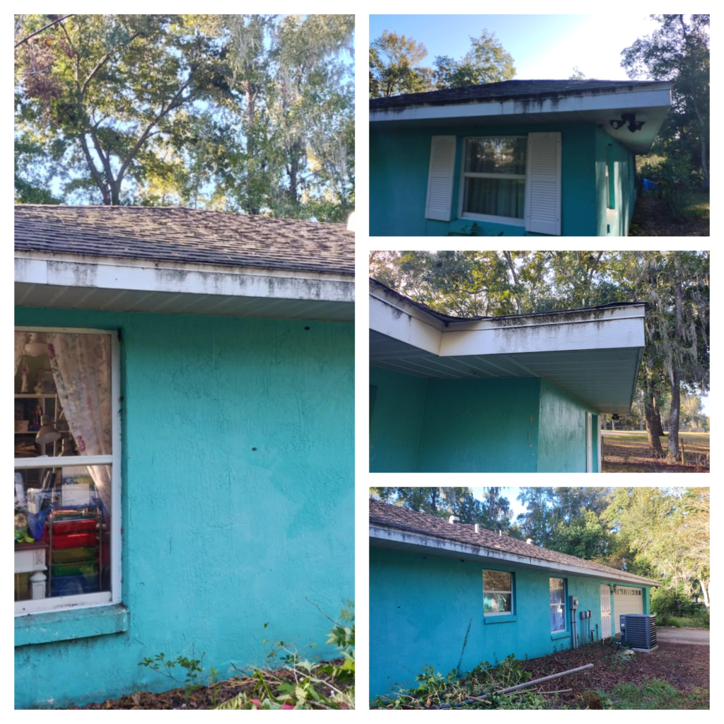 deep cleaning the villages fl technician soft washing lanai screen