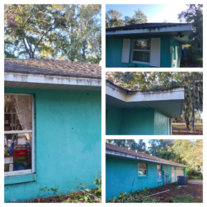 deep cleaning the villages fl technician soft washing lanai screen